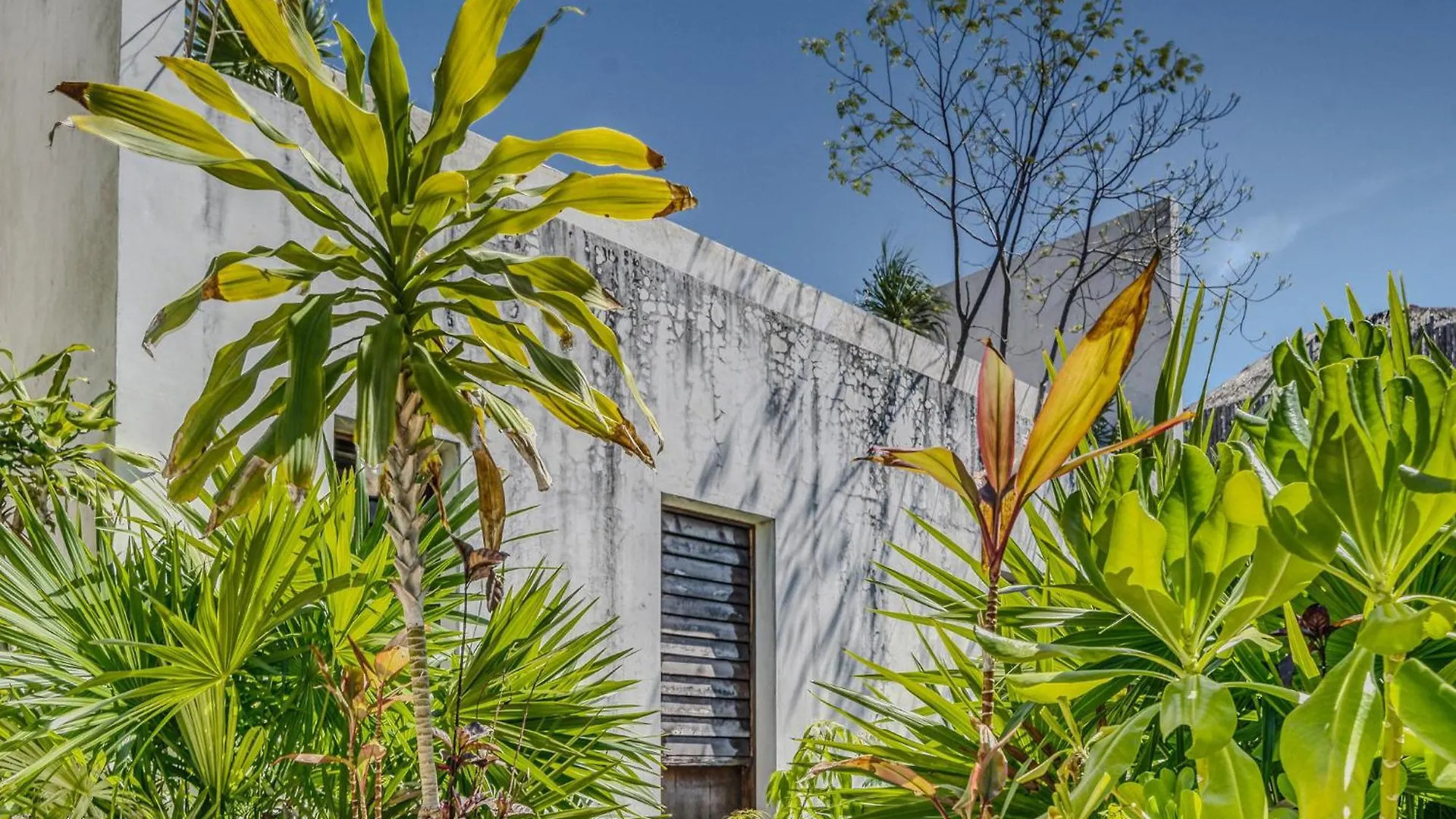 Apartment Exclusive 1Br In Tulum Jungle Private Pool Spa